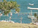 Anse Raffin
