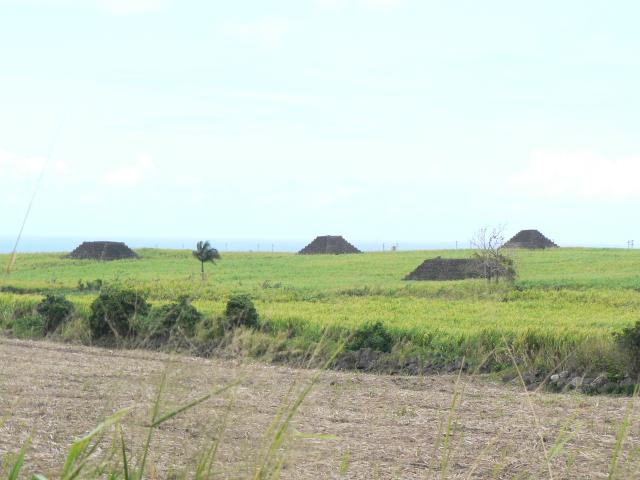 Les Pyramides
