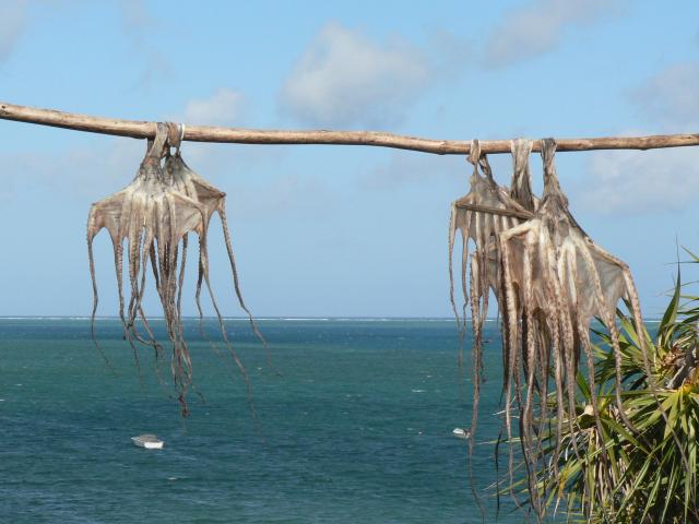 Anse Raffin